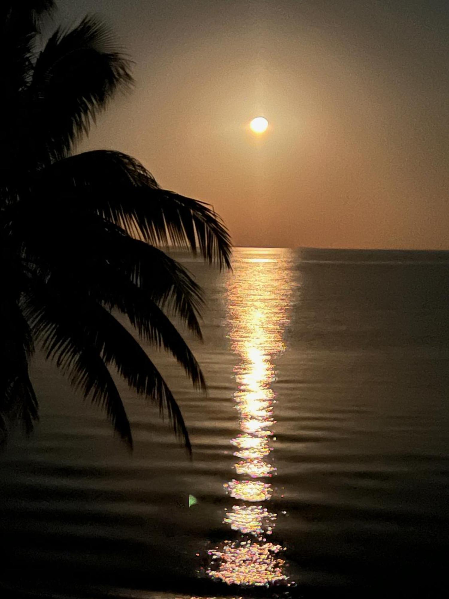 Bella Sway Belize Villa Maya Beach Dış mekan fotoğraf